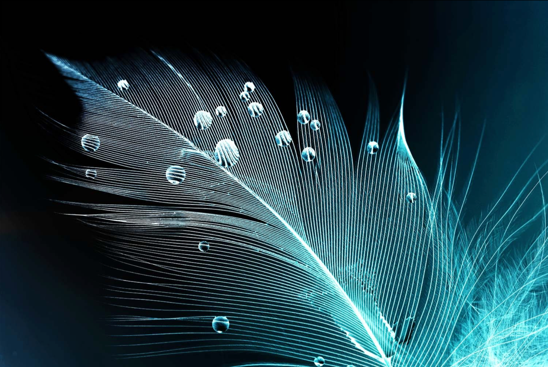 BLUE FEATHER