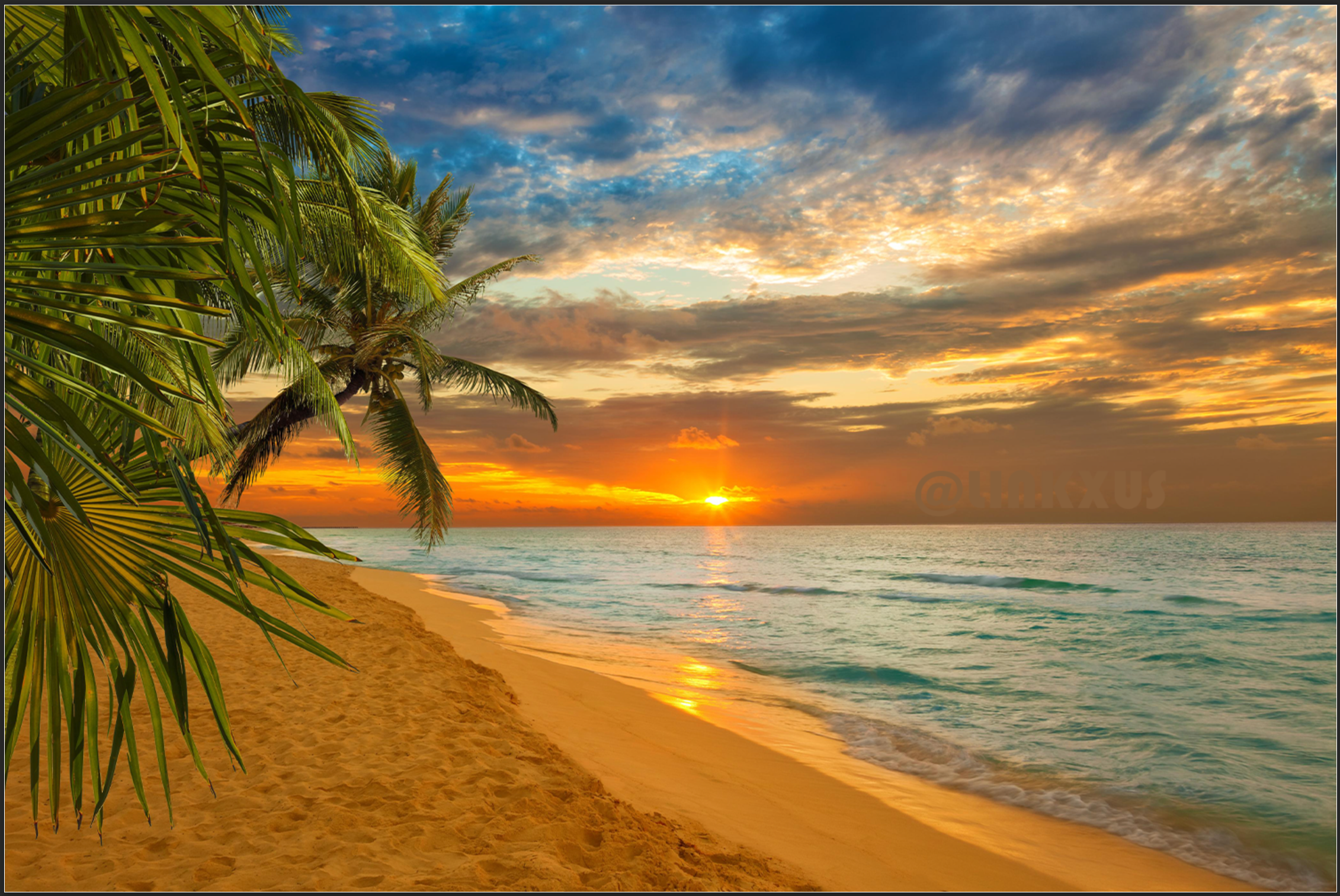 TROPICAL BEACH AT SUNSET