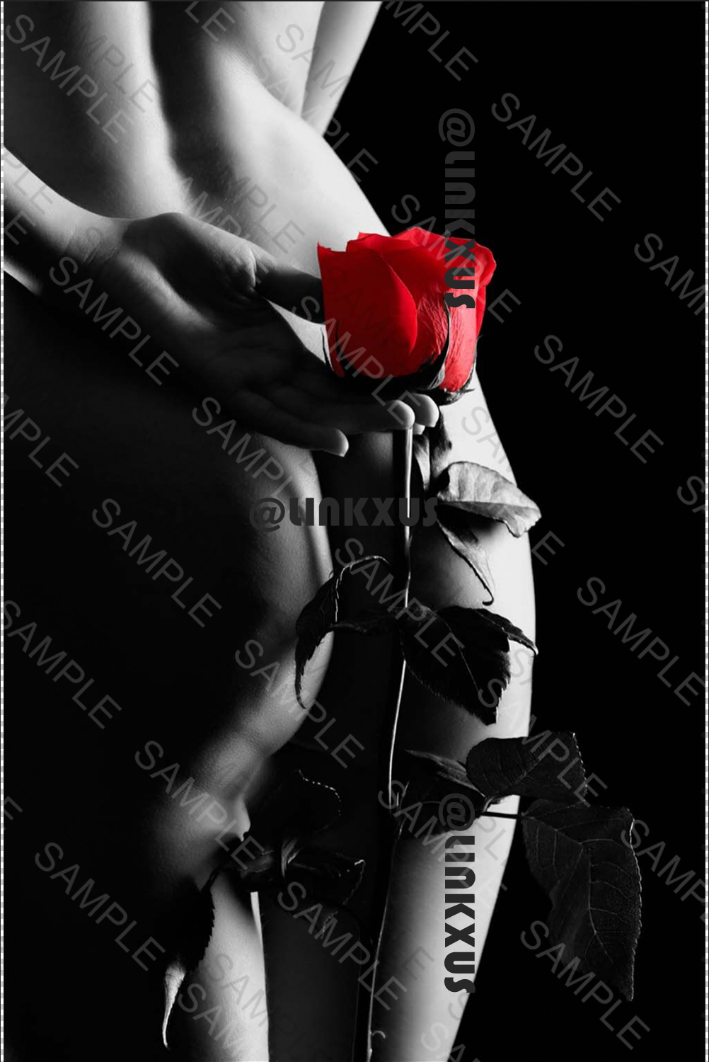 SEDUCTION SILHOUETTE