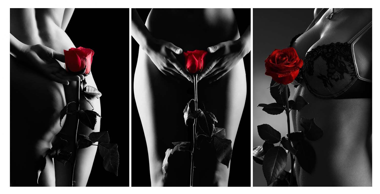 SEDUCTION SILHOUETTE