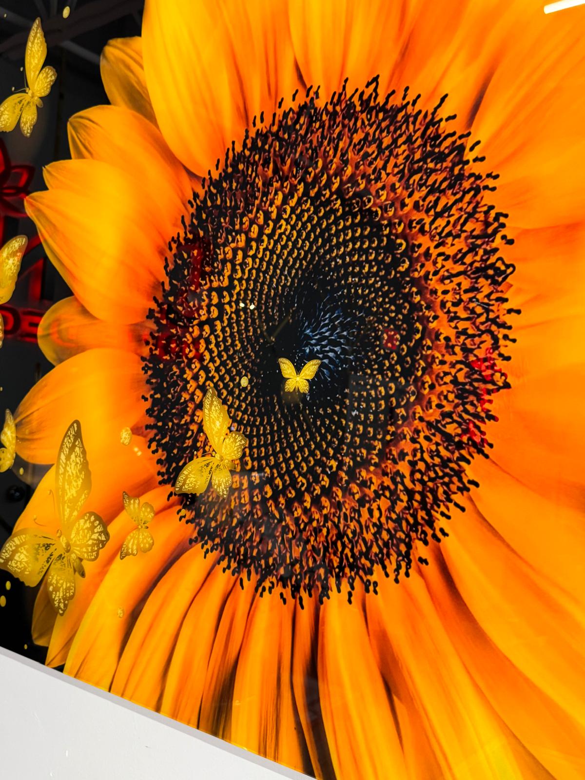 SUNFLOWER WITH BUTTERFLIES 60"X40"