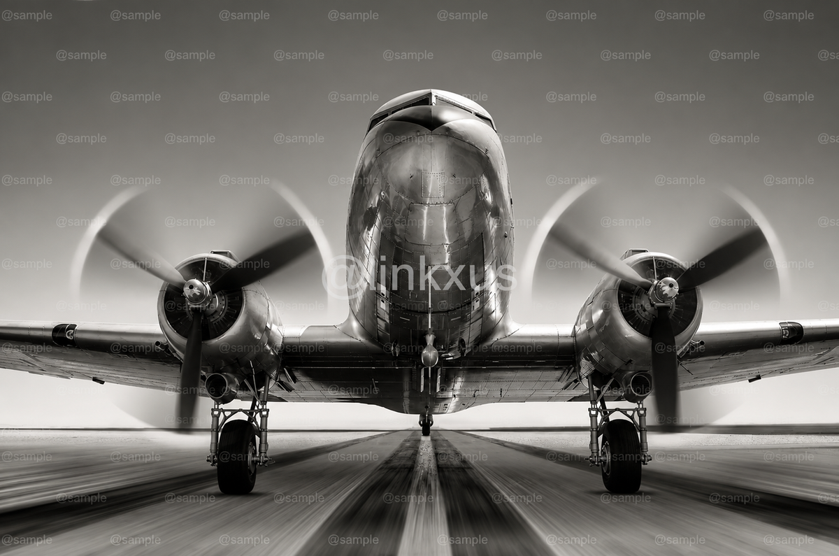 COMMERCIAL AIRPLANE TAKING OFF