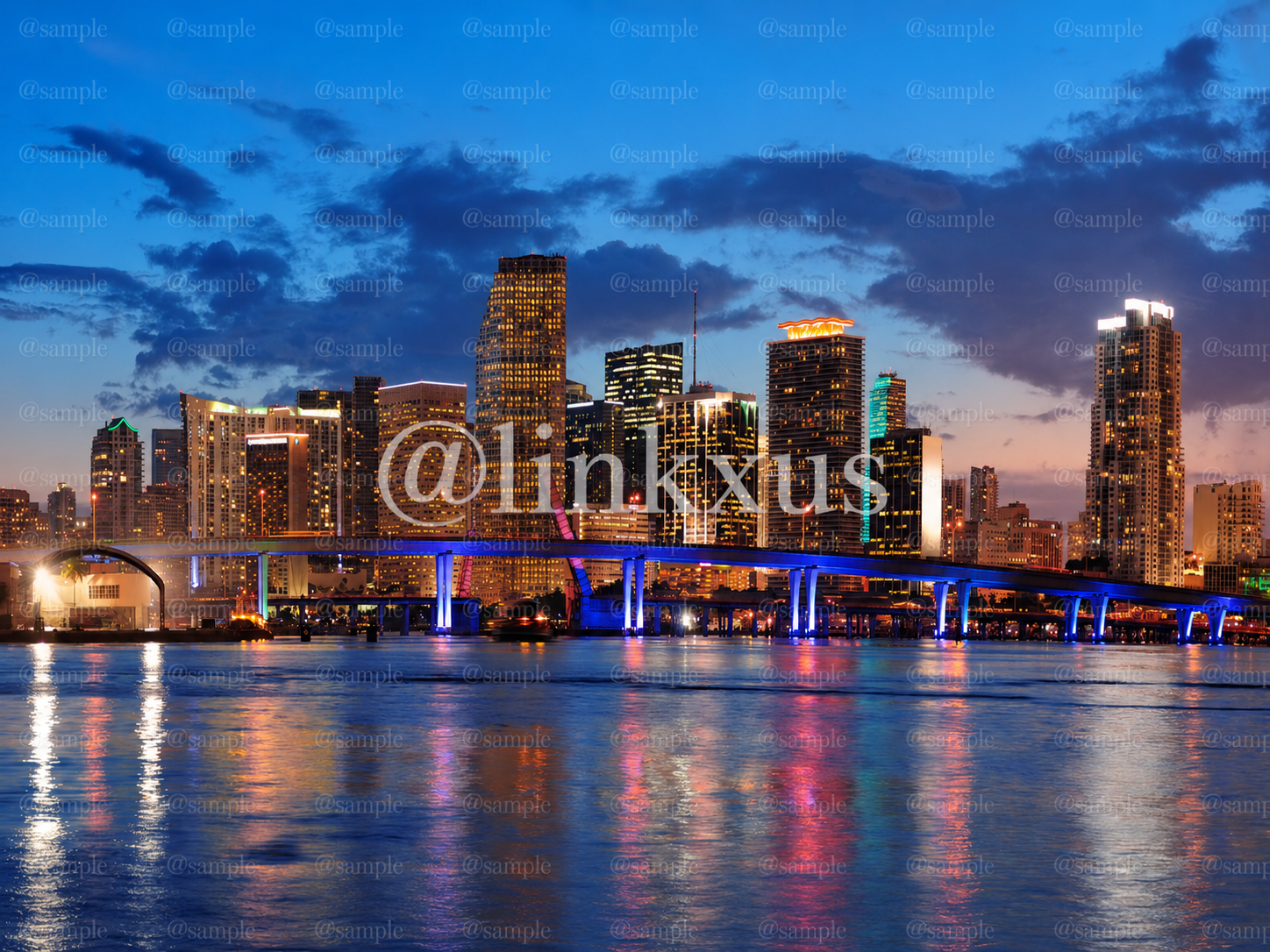 MIAMI CITY NIGHT