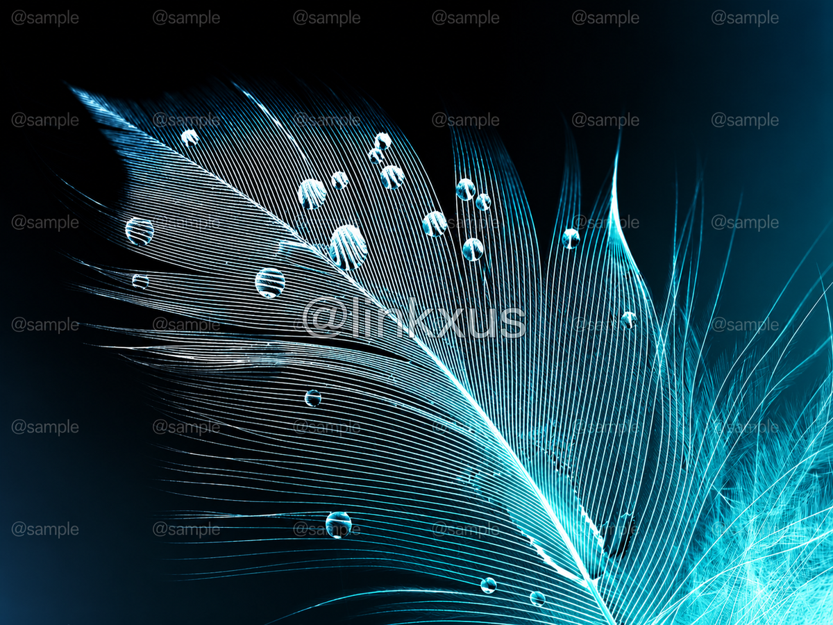 BLUE FEATHER