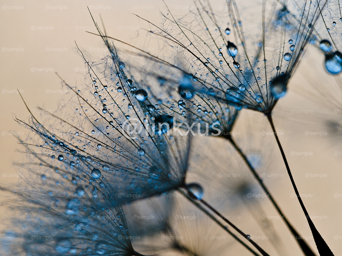 ABSTRACT BLUE PLANTS