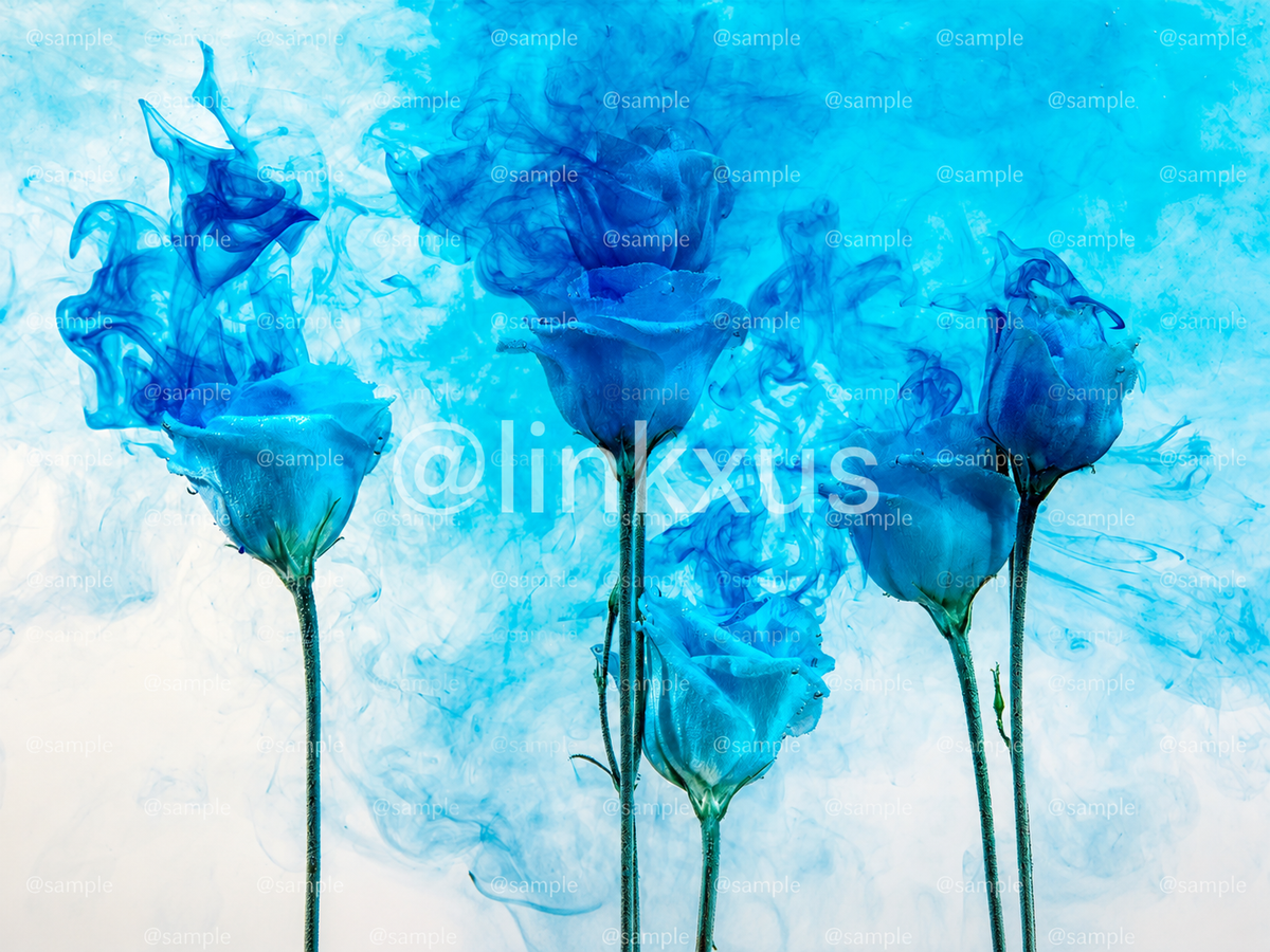 ABSTRACT BLUE ROSES