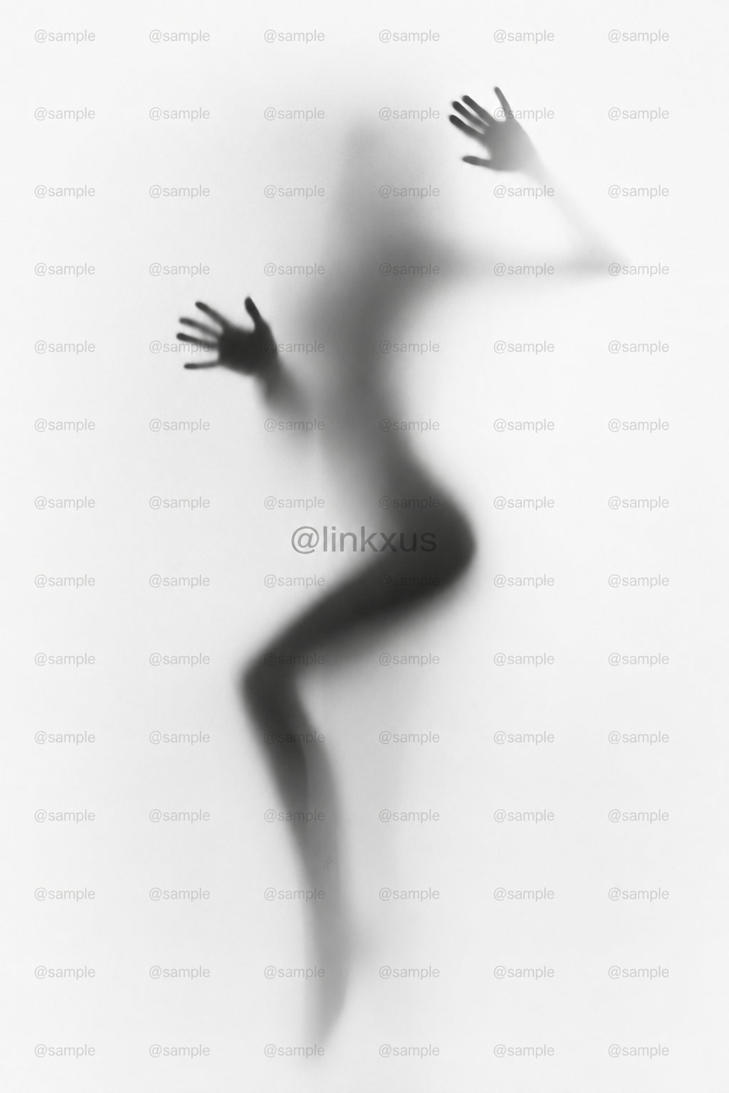 Woman Silhouette White and Black