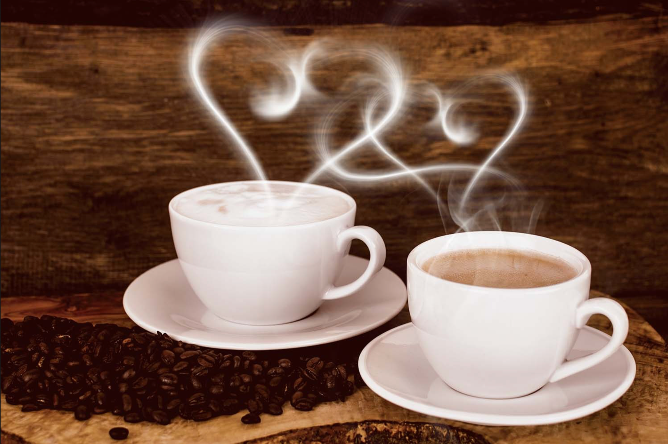 MORNING LOVE
