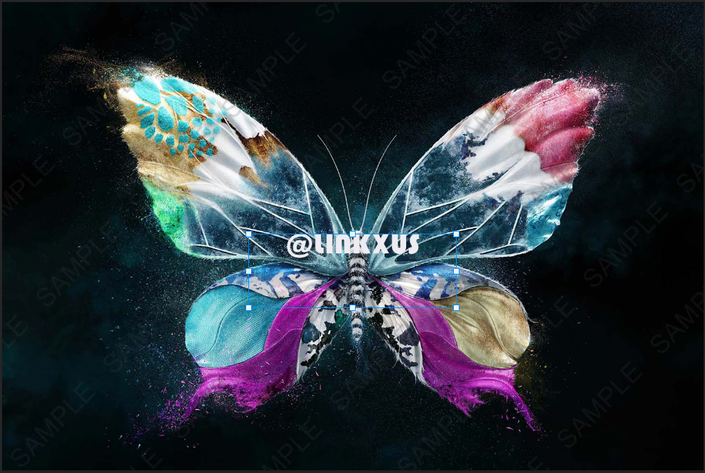 MULTICOLOR BUTTERFLY