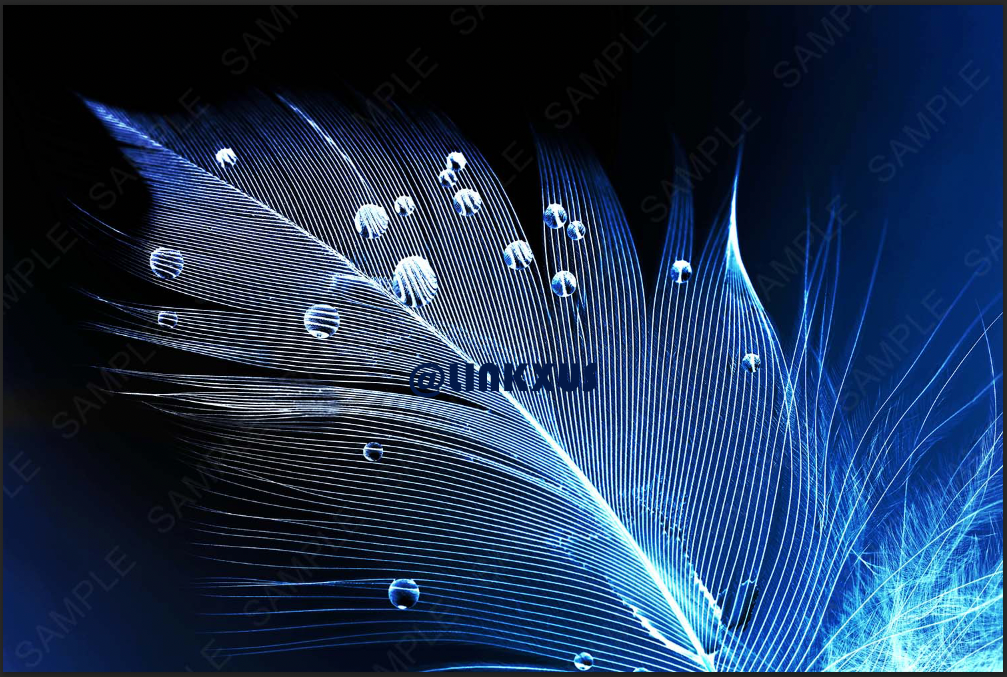 BLUE FEATHER