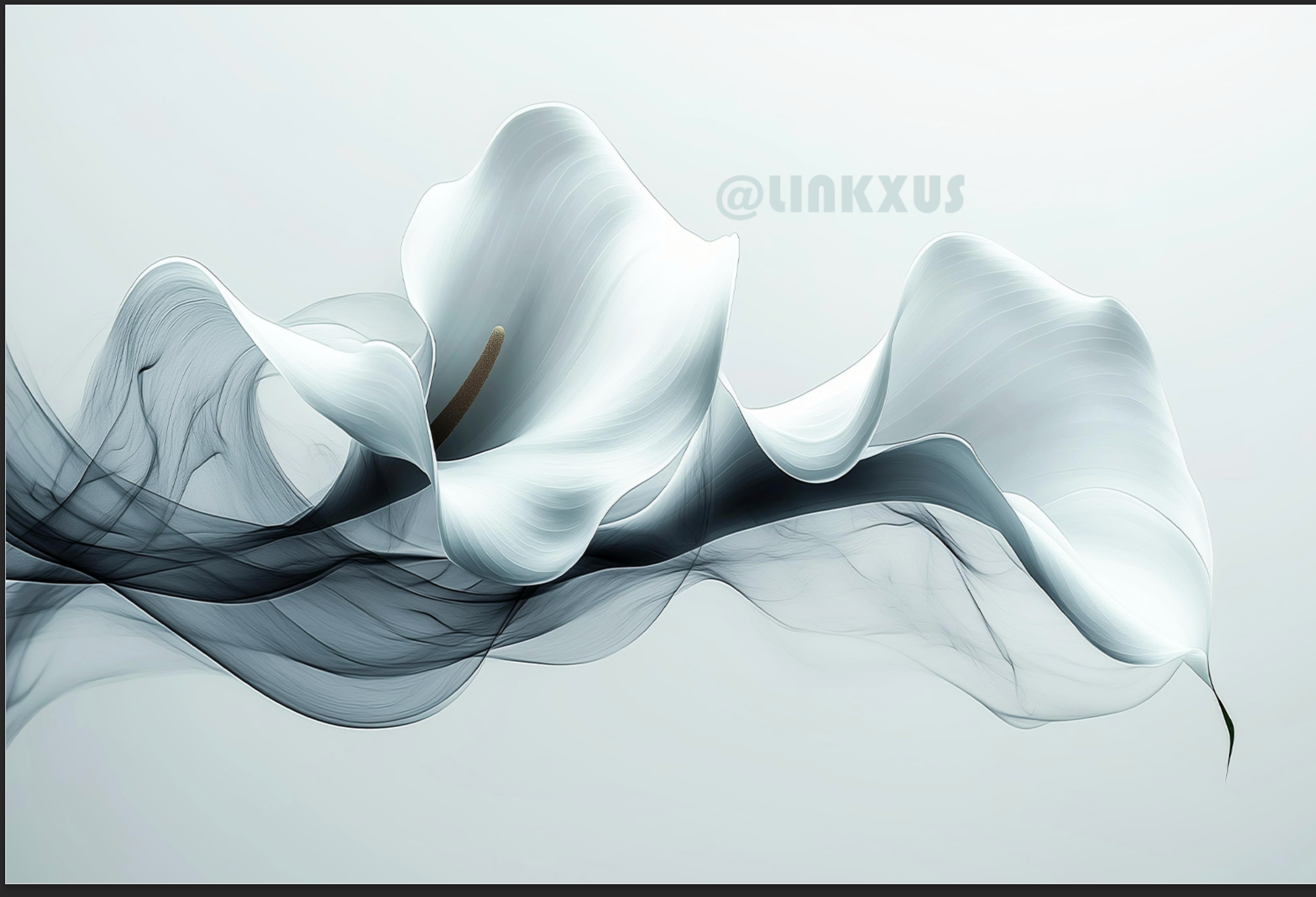 ELEGANT CALLA LILY