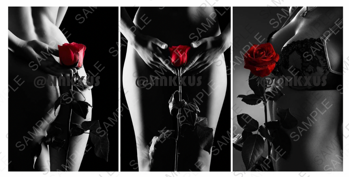 SEDUCTION SILHOUETTE