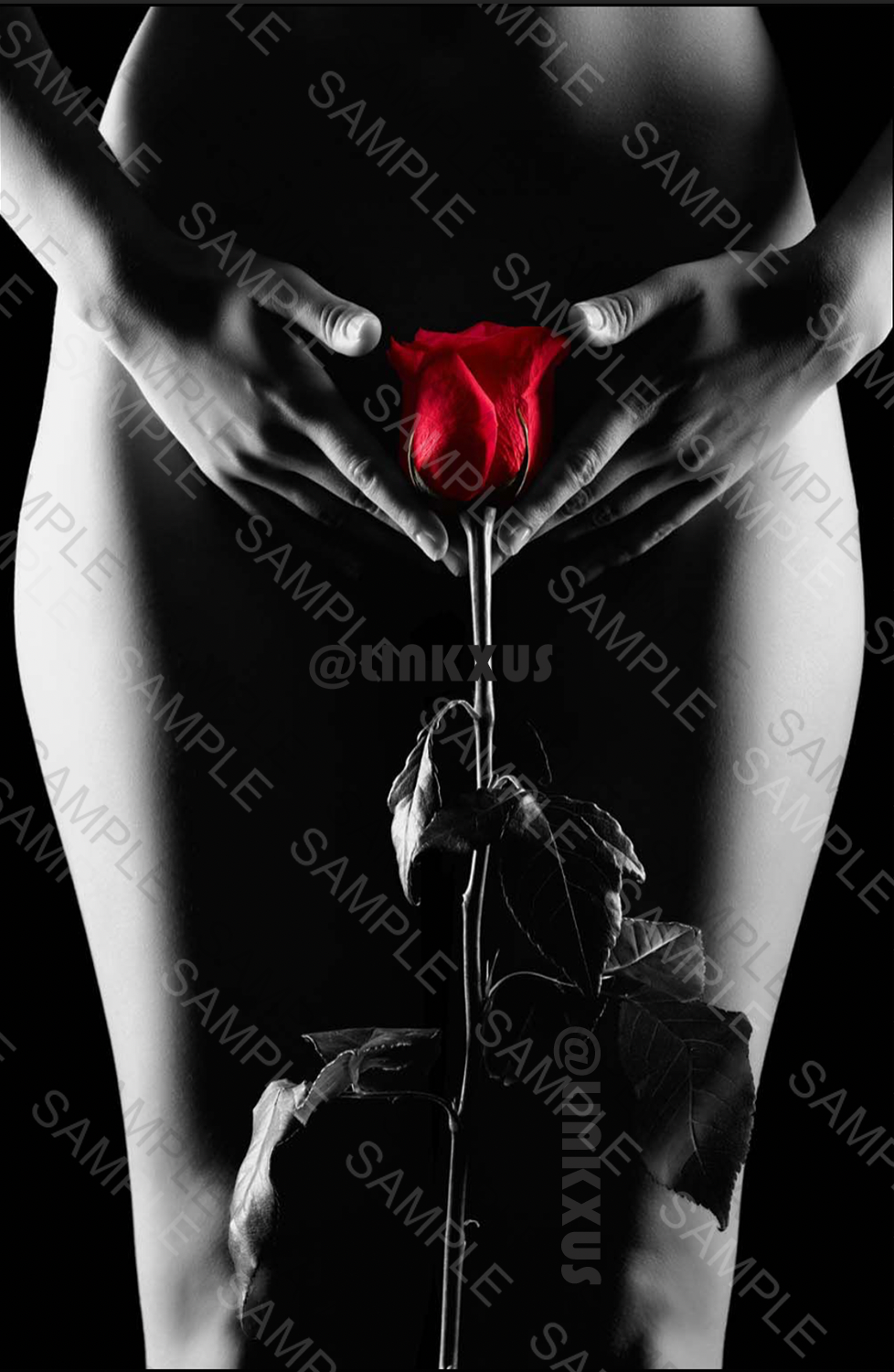 SEDUCTION SILHOUETTE