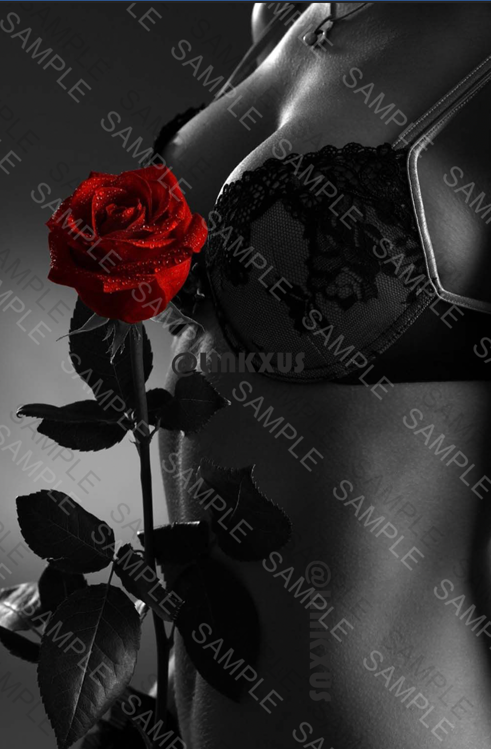 SEDUCTION SILHOUETTE
