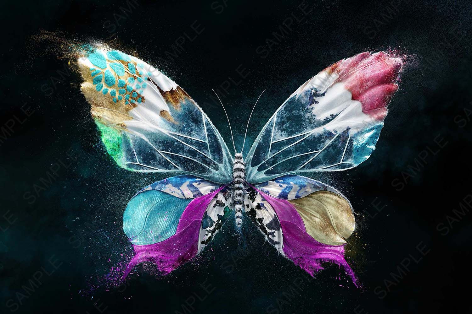 MULTICOLOR BUTTERFLY