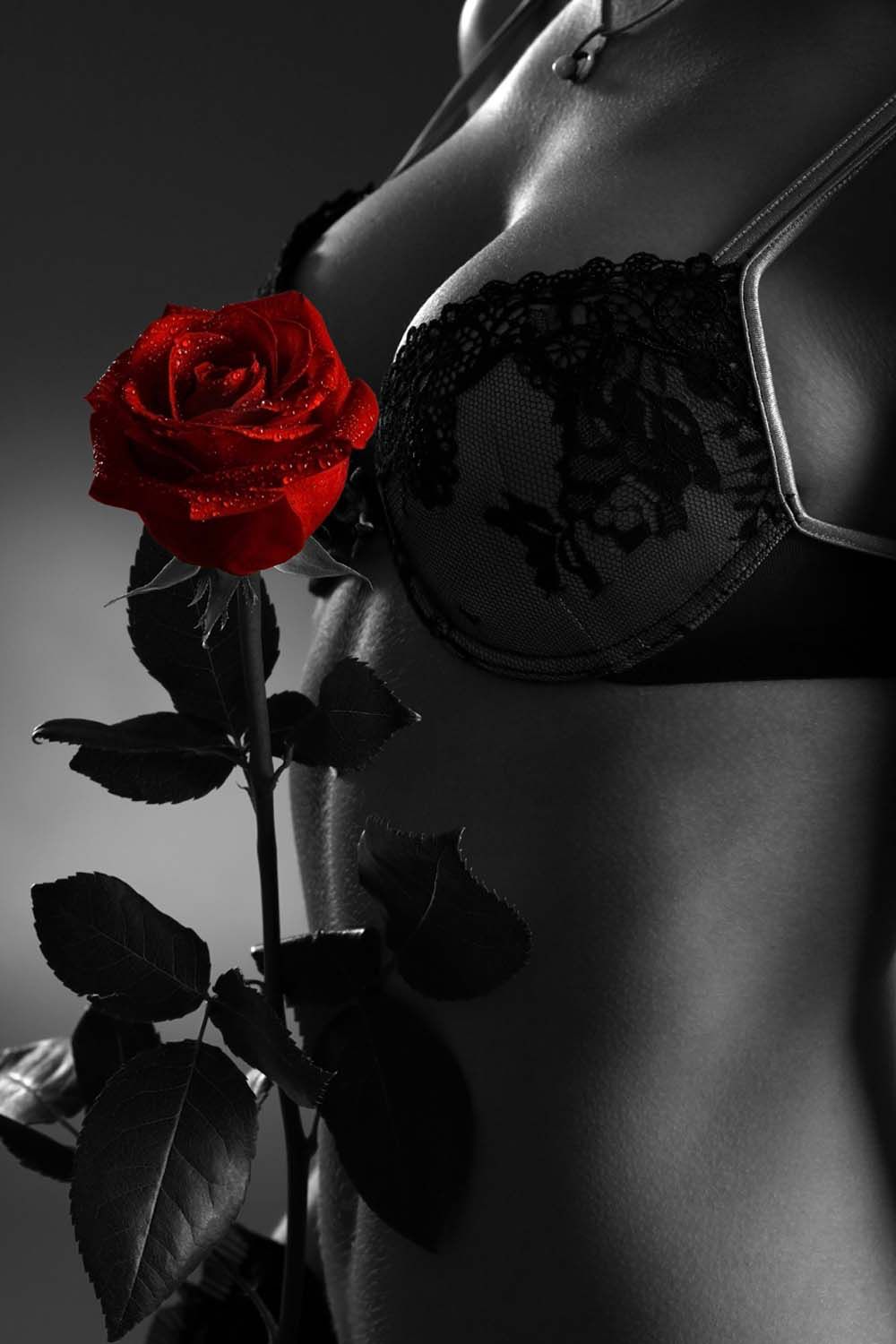 SEDUCTION SILHOUETTE