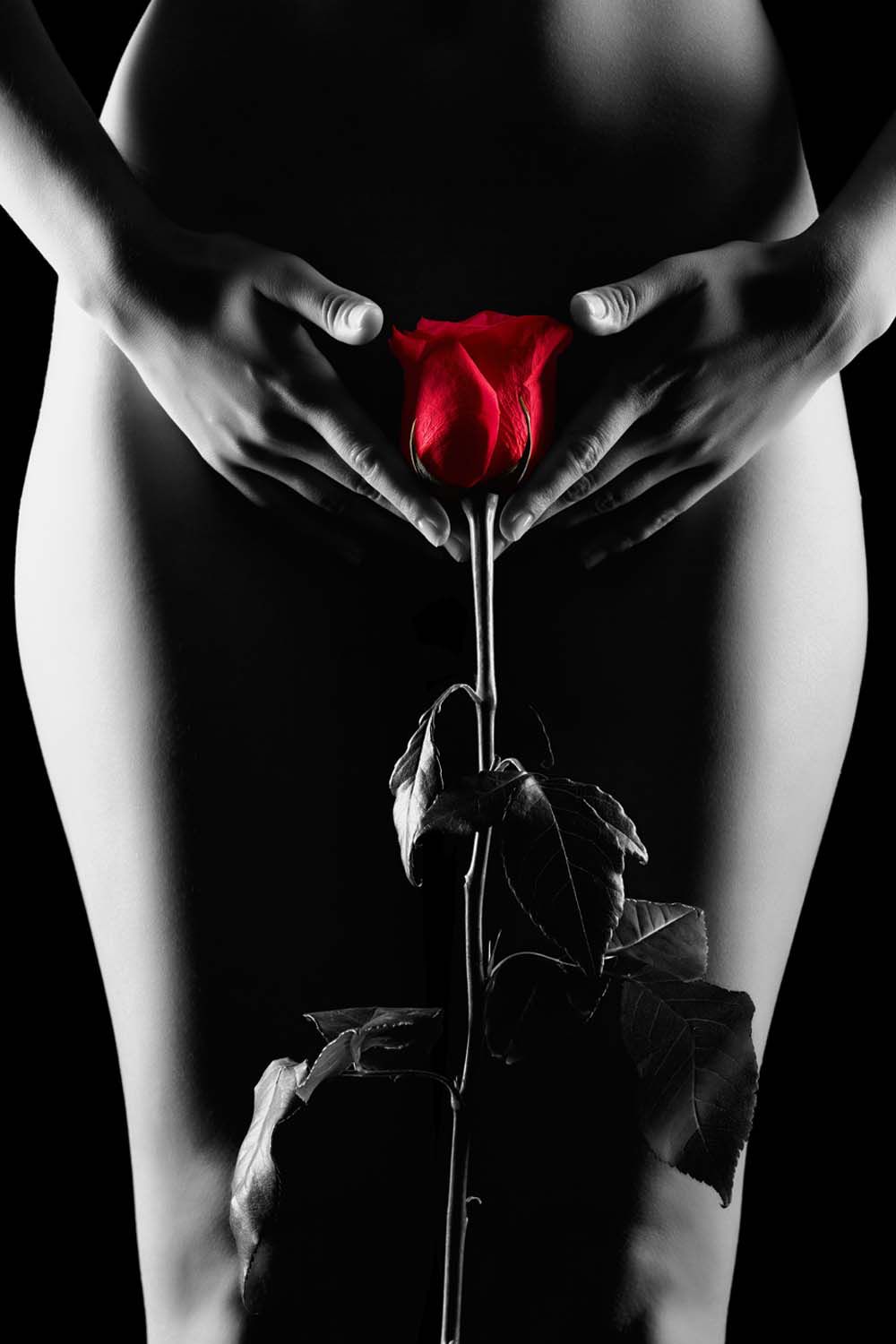 SEDUCTION SILHOUETTE