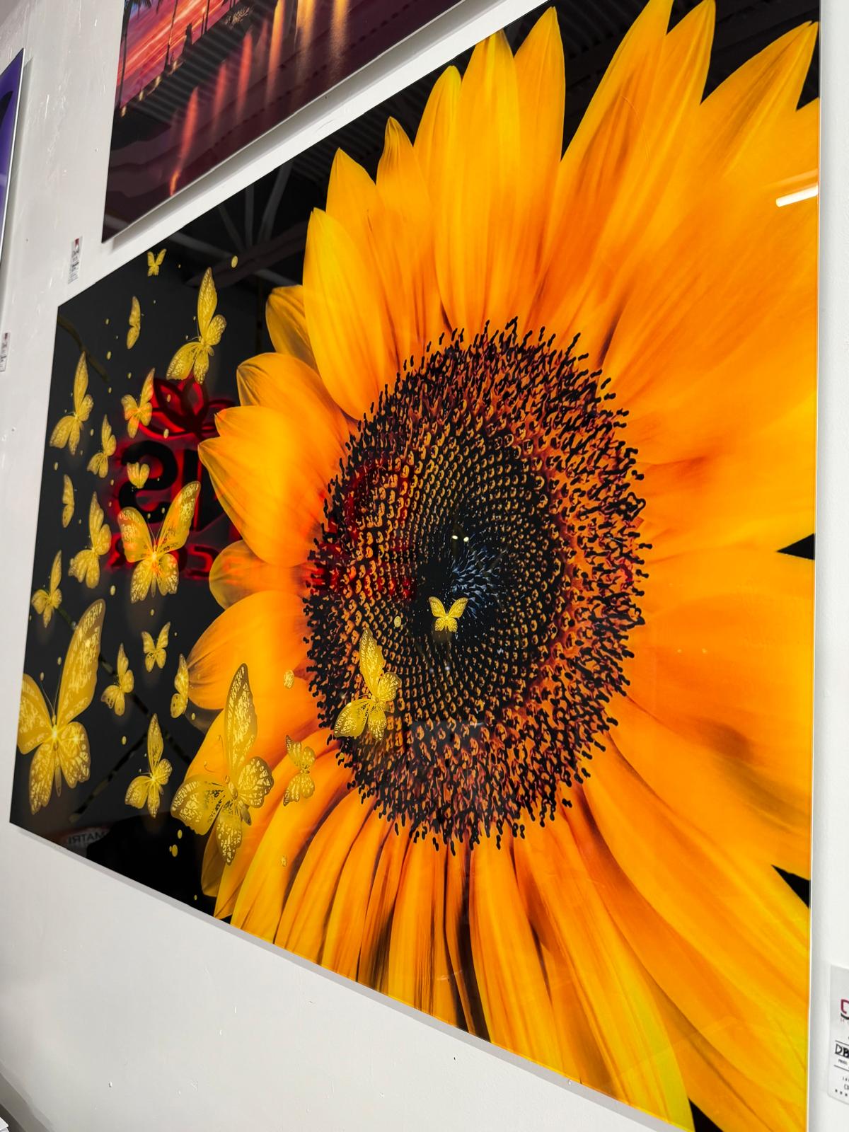 SUNFLOWER WITH BUTTERFLIES 60"X40"